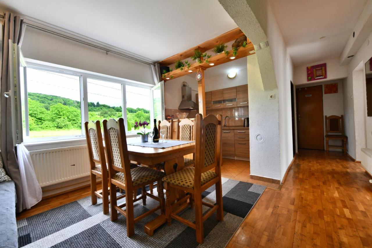 Apartment Marija Zupan Rakovica Luaran gambar