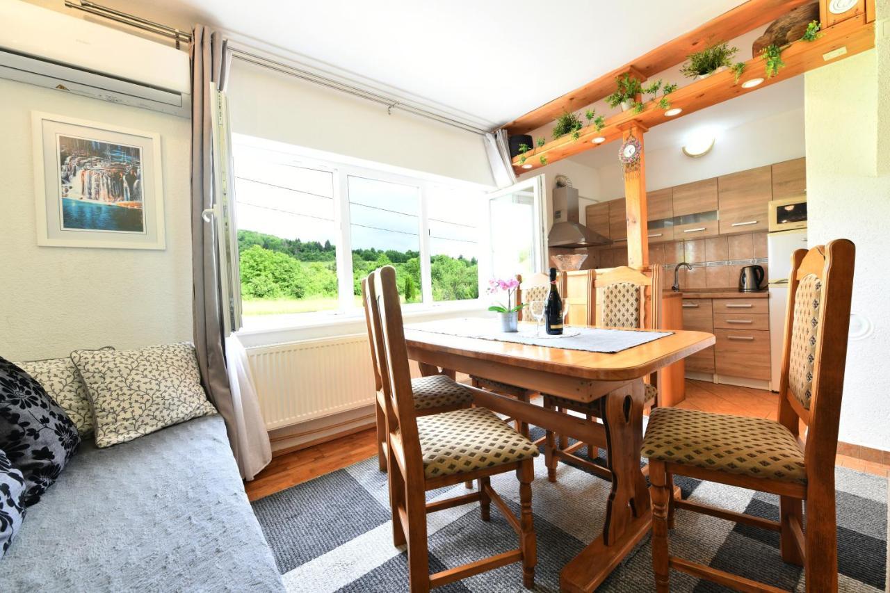 Apartment Marija Zupan Rakovica Luaran gambar