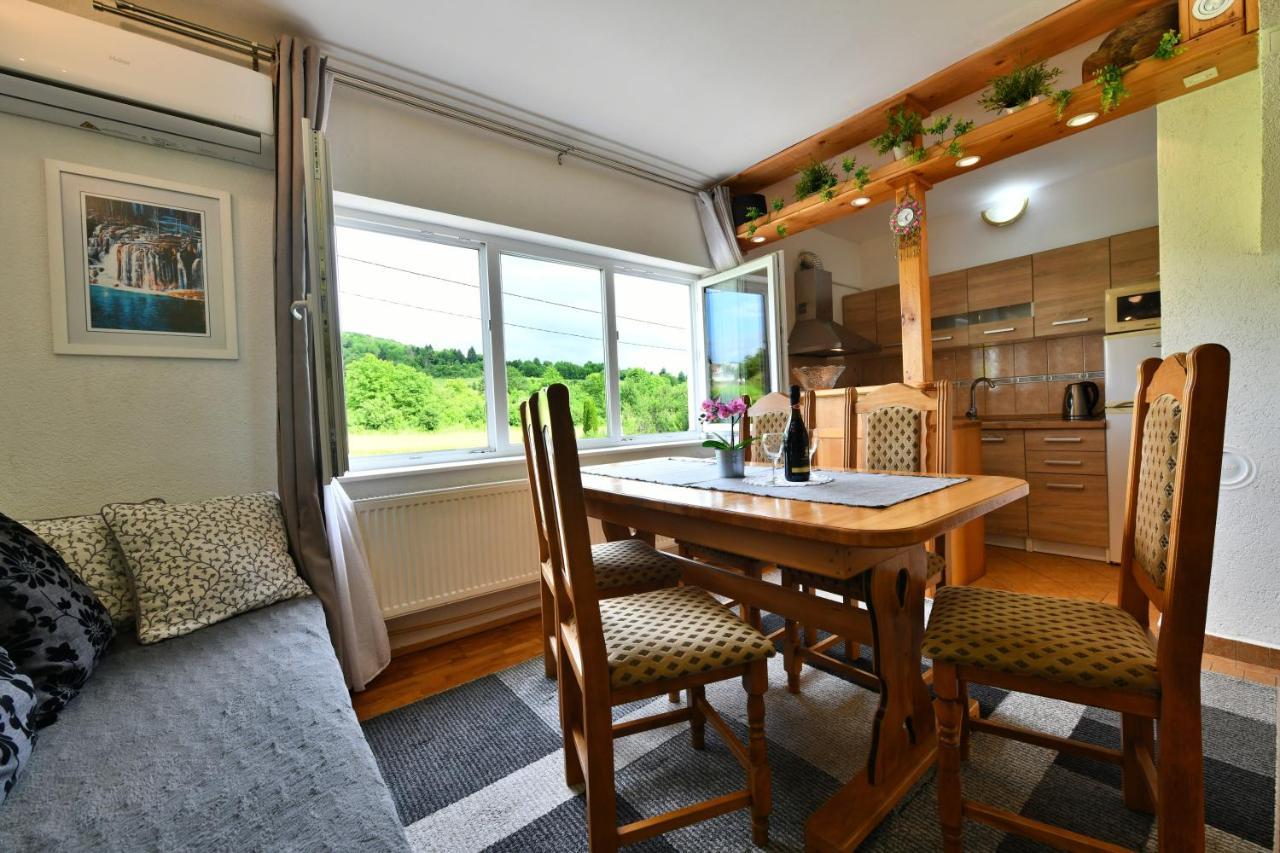 Apartment Marija Zupan Rakovica Luaran gambar