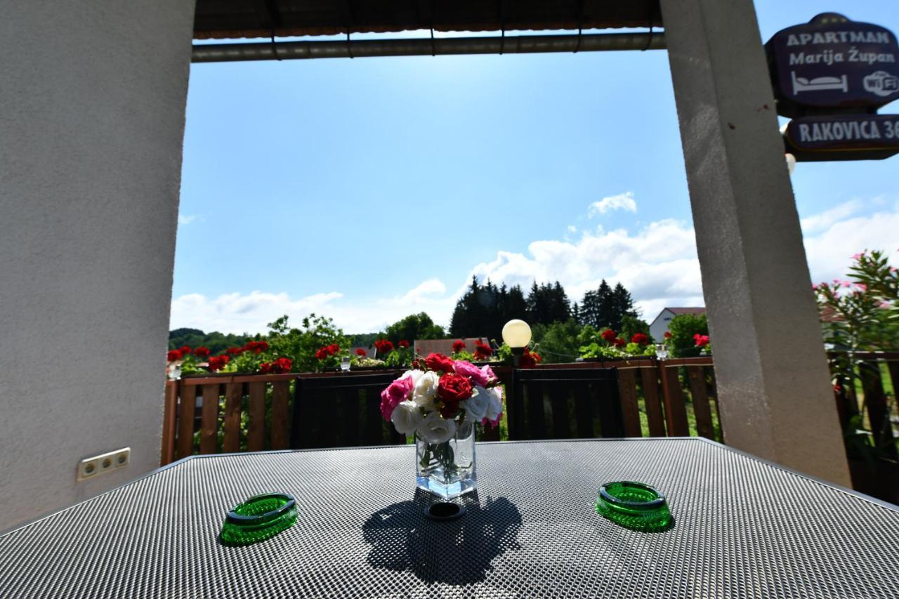 Apartment Marija Zupan Rakovica Luaran gambar